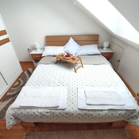 Apartman Ns Dan Private Parking Novi Sad Exterior foto